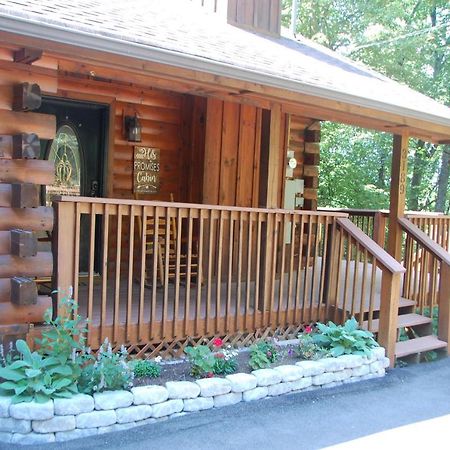 His Promises Cabin بيدجن فورج المظهر الخارجي الصورة