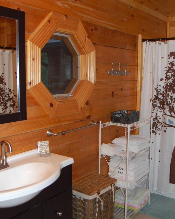 His Promises Cabin بيدجن فورج المظهر الخارجي الصورة